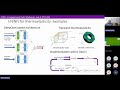 Integrated Finite Element Neural Networks (I-FENN) / Part II - ISRM AI Café Talk - 11 February 2026