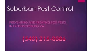Fredericksburg  Pest Control - Pest Control Service in Fredericksburg