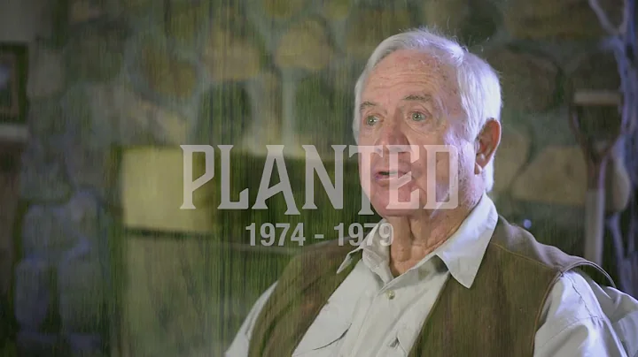 Roots - Donald Tabb - 50th Anniversary