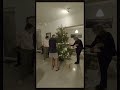 Dressing 2022 XMas tree in 4K Timelapse