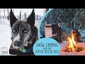 Mountain snow camping with our dog in our homebuilt teardrop trailer