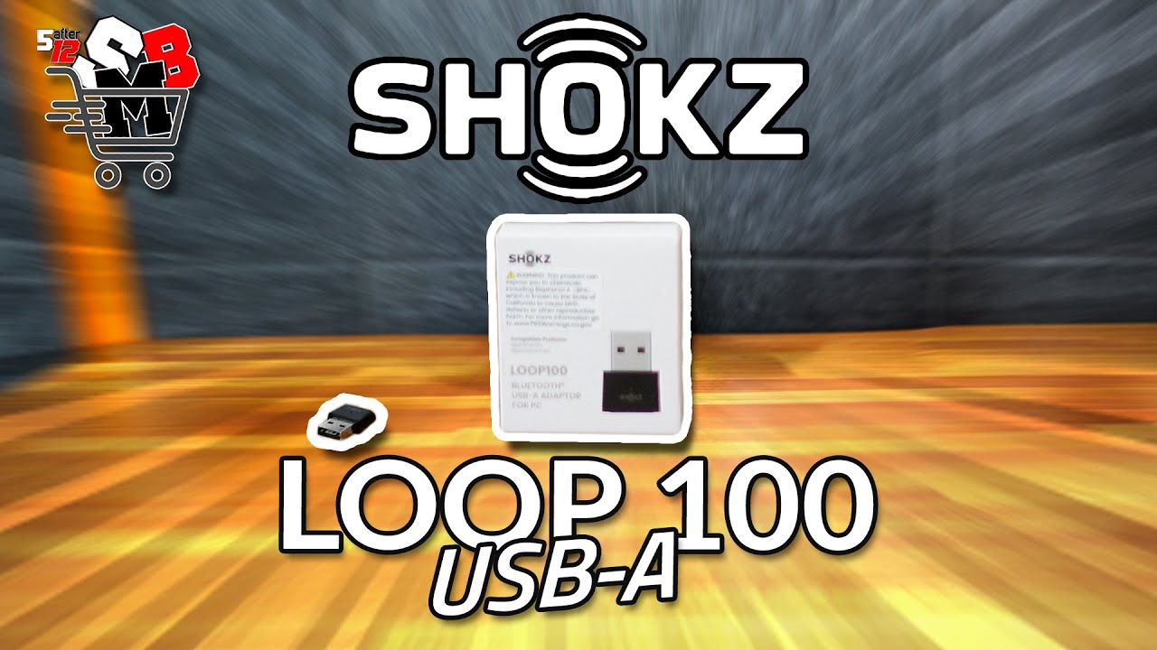 SHOKZ LOOP100