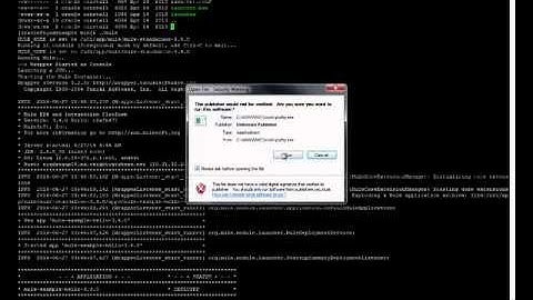 Mule ESB install and deploy 5min awesome proj camrec