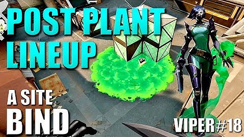 VIPER LINEUPS - BIND - Post Plant Snake Bite Molly Setup Guides #18 - A Site - Default Tetris