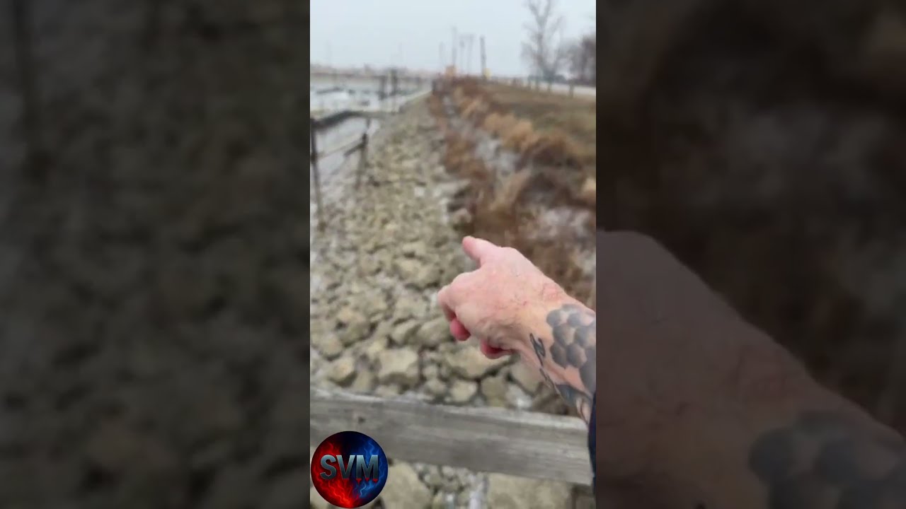 LAKE ERIE DISAPPEARED: Extreme Seiche Drains Wild Wings Marina