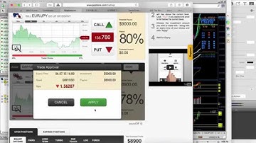 The Binary Lab Stoning by Julian Wong - Video 1