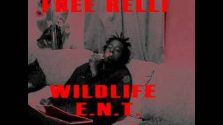 Relliwildlife Ent-Watch When I Get On Prodby Johnephoenix