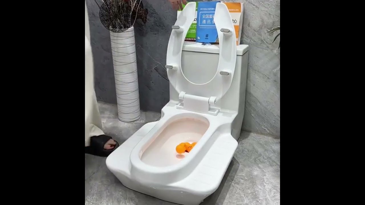Product Link In Bio 1833 Mavigadgets Dual Design Squat Toto Sit Convertible Toilet