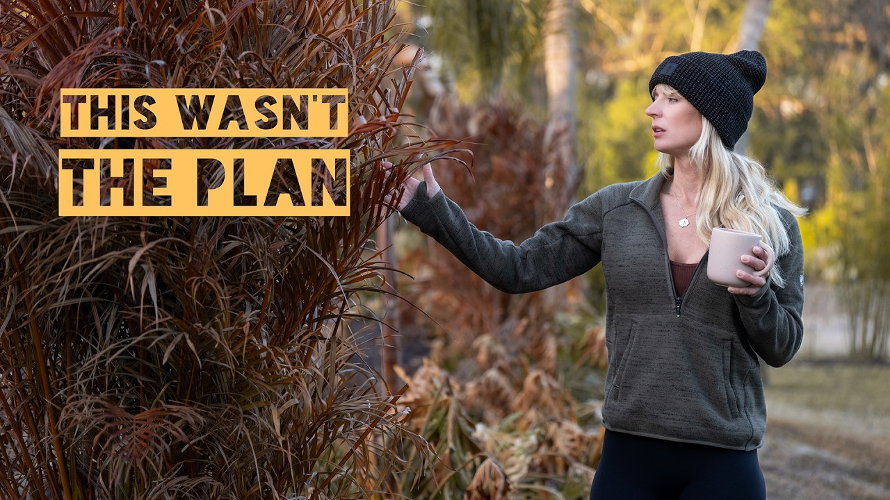 Это не входило в планы.