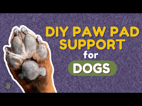 Video: DIY Protector de Paw Pad