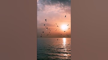 اجمل تلاوه القران كريم بصوت شيخ علاء المهداوي#شيخ_علاء_المهداوي#القرآن_الكريم