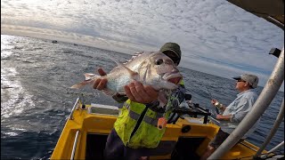 westernaustralia catchandcook Fishing Ban Lifted Full Vid