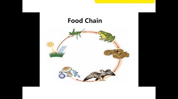 4. Environmental management SSC 10th class science technology part 2