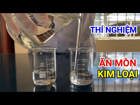 Video: Ăn Mòn Thực Vật Không Hài Hòa