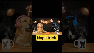 🎙Ep 7 — Nap Training for Dogs 🐶💤 | Calm Your Puppy in Minutes