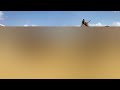 The Most Wonderful Animal Discoveries You Must Watch