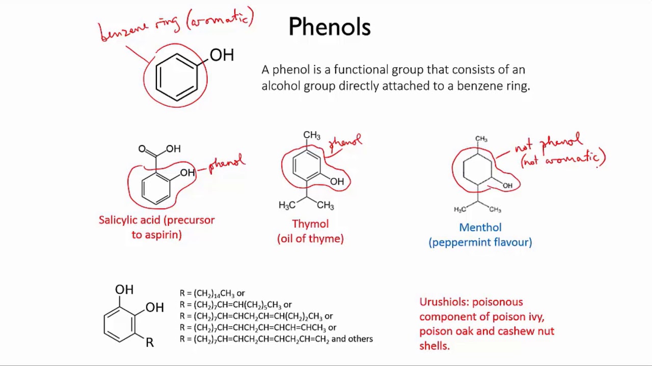 ⁣Phenols | Organic molecules | meriSTEM