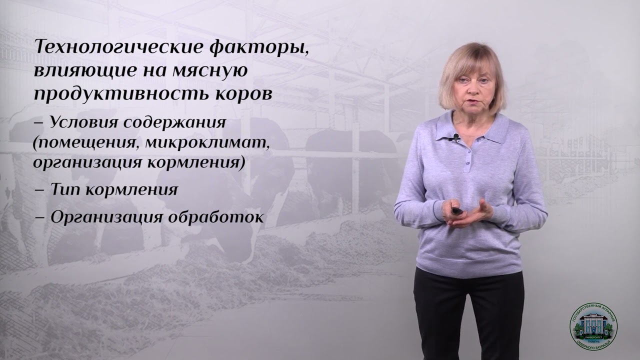 1 5 Факторы, влияющие на мясную продуктивность