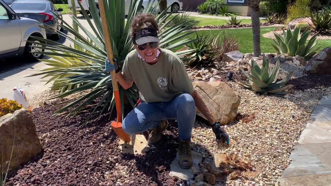 Reminder to Plant According to Irrigation and Your Succulents Water