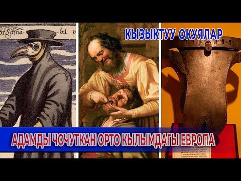 Video: Мышык тиштери жөнүндө кызыктуу фактылар