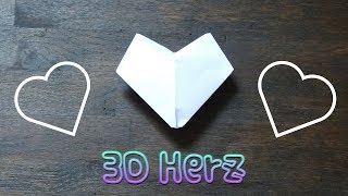 Funzijum Türkiye Vliplv