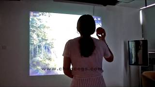 Interactive Wall - Pterosaur