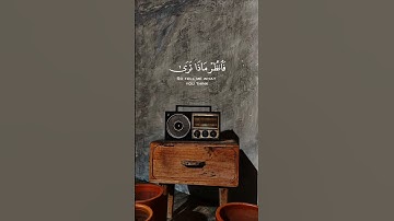 {وقال إني ذاهب إلى ربي سيهدين} - القارئ أحمد النفيس | سورة الصافات