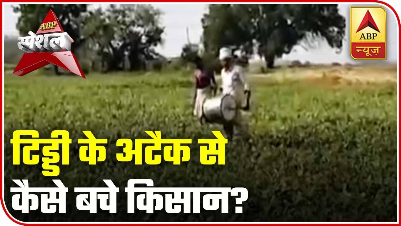 Amid Lockdown, Farmers Tackle The Locust Crisis Too | ABP Special | ABP News