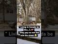 “POV: Canada Geese Took Over My Street 🇨🇦😂”#youtubeshorts #shortsfeed #viralshort #canadalife