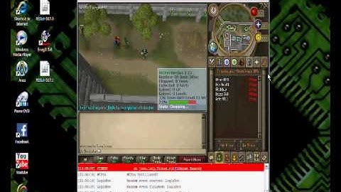 How to use RsBot - part 1 (woodcutting)