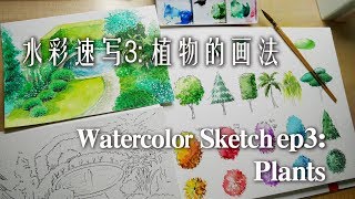贝大大水彩速写3钢笔淡彩植物的画法零基础watercolor sketch plants