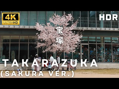 🌸Flower Road Cherry Blossom Season Walk in Takarazuka, Japan | 4K HDR