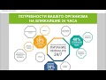Download План питания 24 часа в сутки, Ночной коктейль План питания 24 часа в сутки, Ночной коктейль