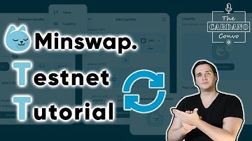 Minswap Testnet Tutorial & First Look!