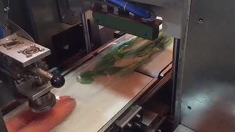 Automatic Vegetables packing machine