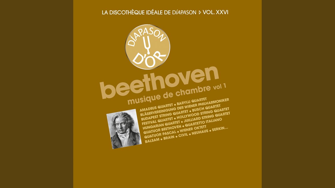 String Quintet No. 3 in C Minor, Op. 104: IV. Finale. Prestissimo auf YouTube ansehen