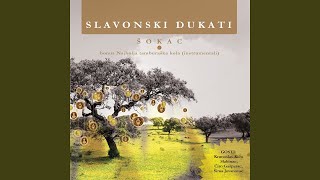 Video thumbnail of "Slavonski dukati - Kolo mista"