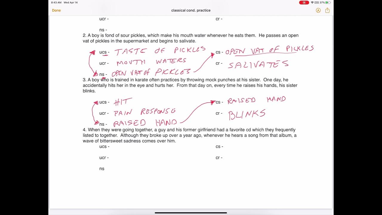 Classical Conditioning Practice Worksheet Answers YouTube classical-conditioning-practice-worksheet-answers-youtube