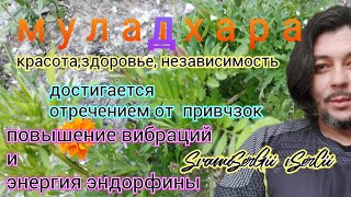 муладхара эндорфины и вибрации  красота, здоровье независимость #SerCii #Сэрций #медитацииvsercii