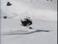 Ostrich skiing ostrich shot fly