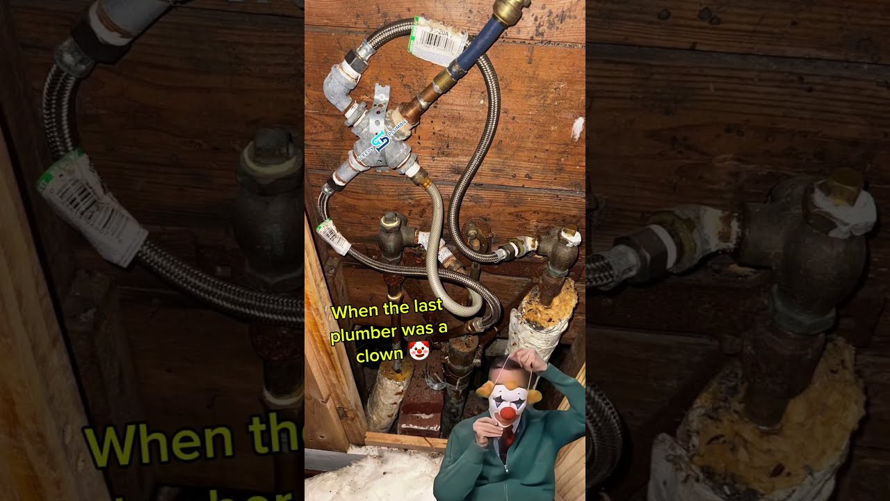 Got These Loony Tunes Plumbers Out Here Making A Bad Name For The Rest Of Us Plumber Plumbing