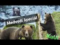 Medvedí špeciál