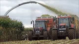 Mais Häckseln - Gros chantier d'ensilage 2013