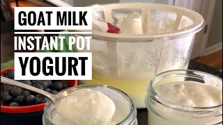 Goat Milk Yogurt in the Instant Pot (& Bonus Buttermilk!)