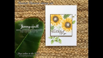 Painted Harvest sunflower card using Stampin Up products with Jenny Hall