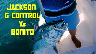 Big Bonito caught on Jackson G control Lure  || Fishing vlog || Qatar boat fishing