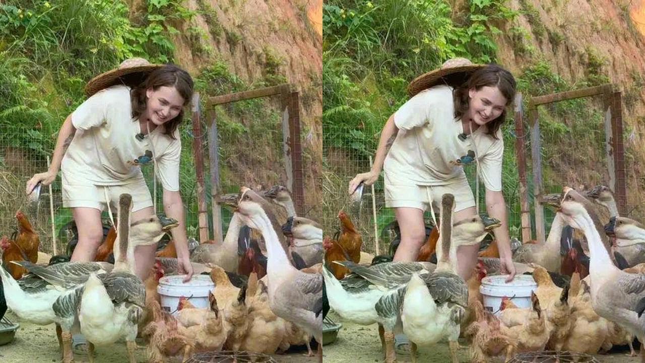 和外国媳妇家乡创业日记4:养好鸡，这可是广东人的头菜 #我的乡村生活#异国婚姻