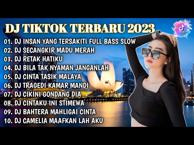 DJ TIKTOK TERBARU 2023 - DJ SAAT ENGKAU TERLUKA AKU YANG BERJUANG X DJ INSAN YANG TERSAKITI VIRAL class=