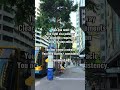 Staying in Australia Long Term is About Alignment, Not Luck