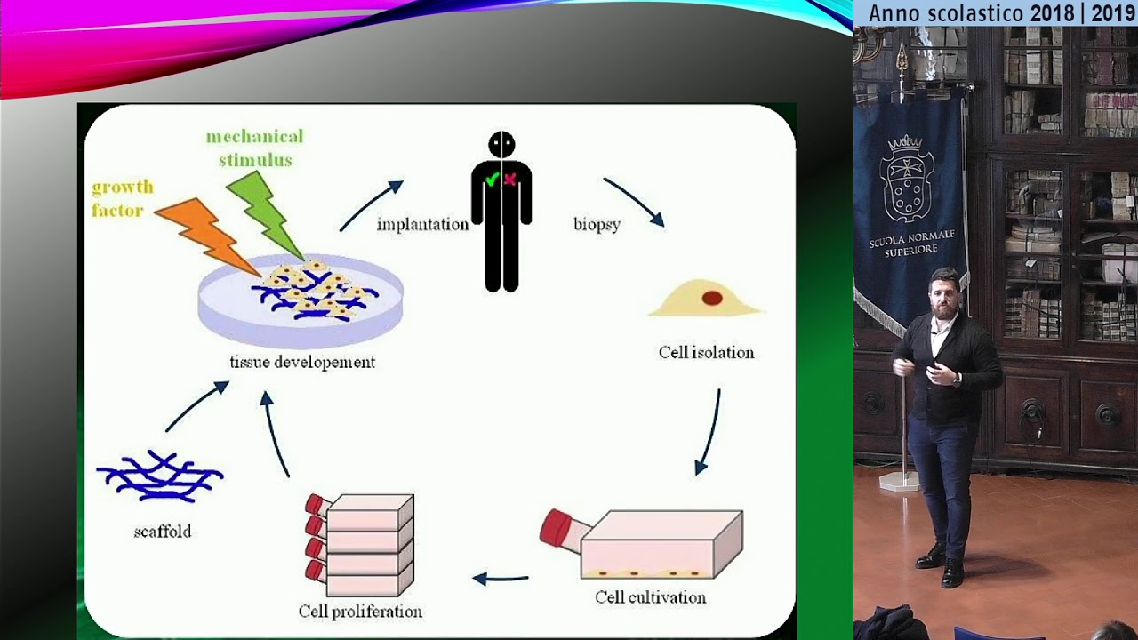 BIOLOGIA - Cellule staminali  - Accademia dei Lincei e SNS - 21 maggio 2019